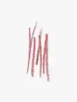 Swatch Bobbi Brown Lip Pencil