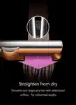 Alternative Image Dyson Airstrait Luna New Year