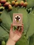Alternative Image Nopalera Mayo Flora Soap