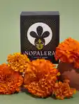 Alternative Image Nopalera Noche Clara Soap