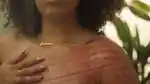 video-fallback-image