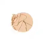 Swatch Chantecaille Compact Makeup