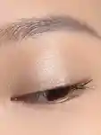 Alternative Image Chantecaille Luminescent Eye Shade