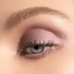 Alternative Image Chantecaille Luminescent Eye Shade