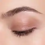 Alternative Image Chantecaille Luminescent Eye Shade