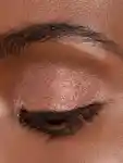 Alternative Image Chantecaille Luminescent Eye Shade