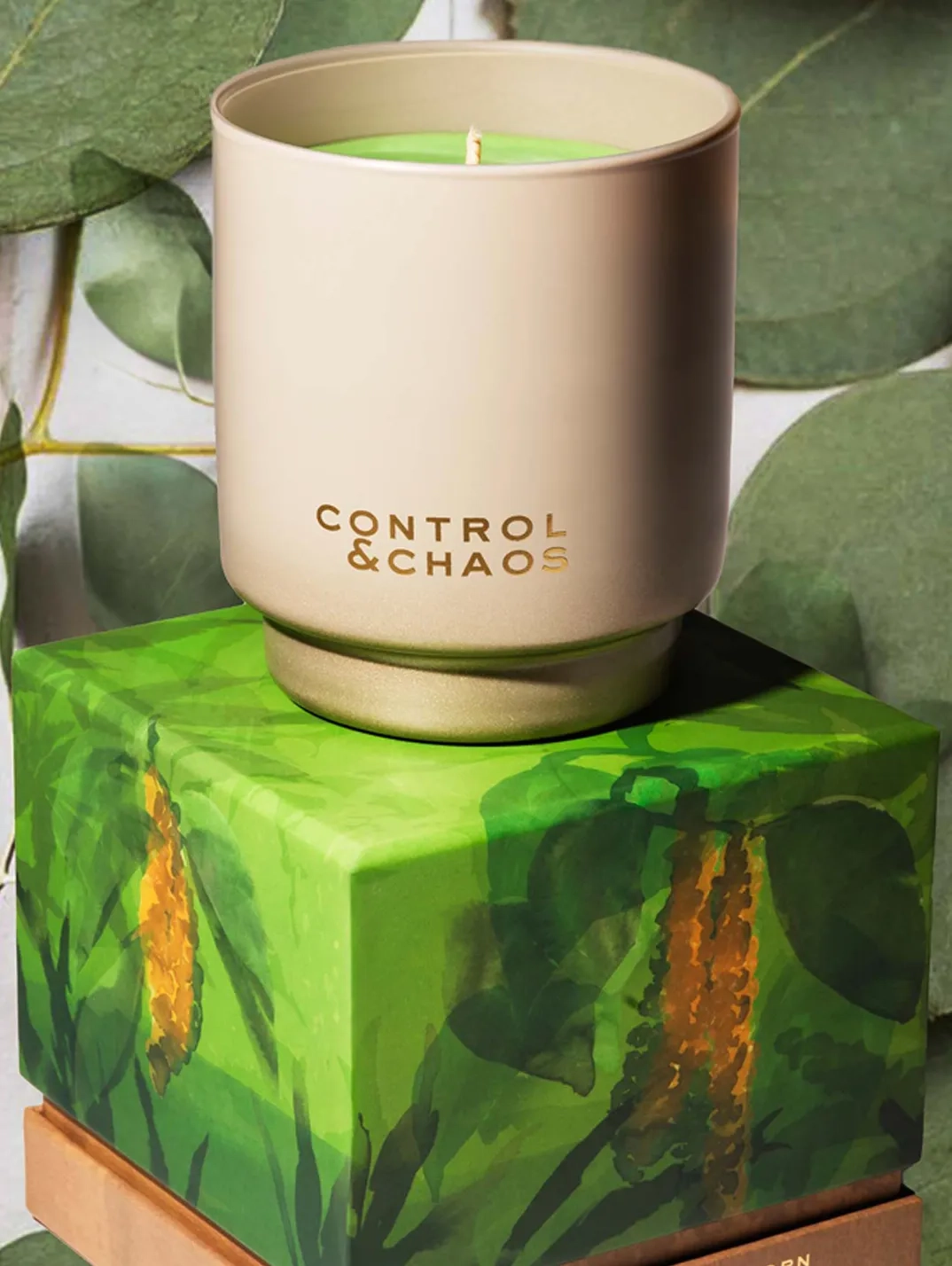 Alternative Image Control& Chaos Paranoia& Peppercorn Candle