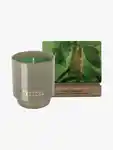 Hero Control& Chaos Paranoia& Peppercorn Candle