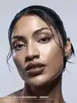 Alternative Image ISAMAYA Sculpting Stick