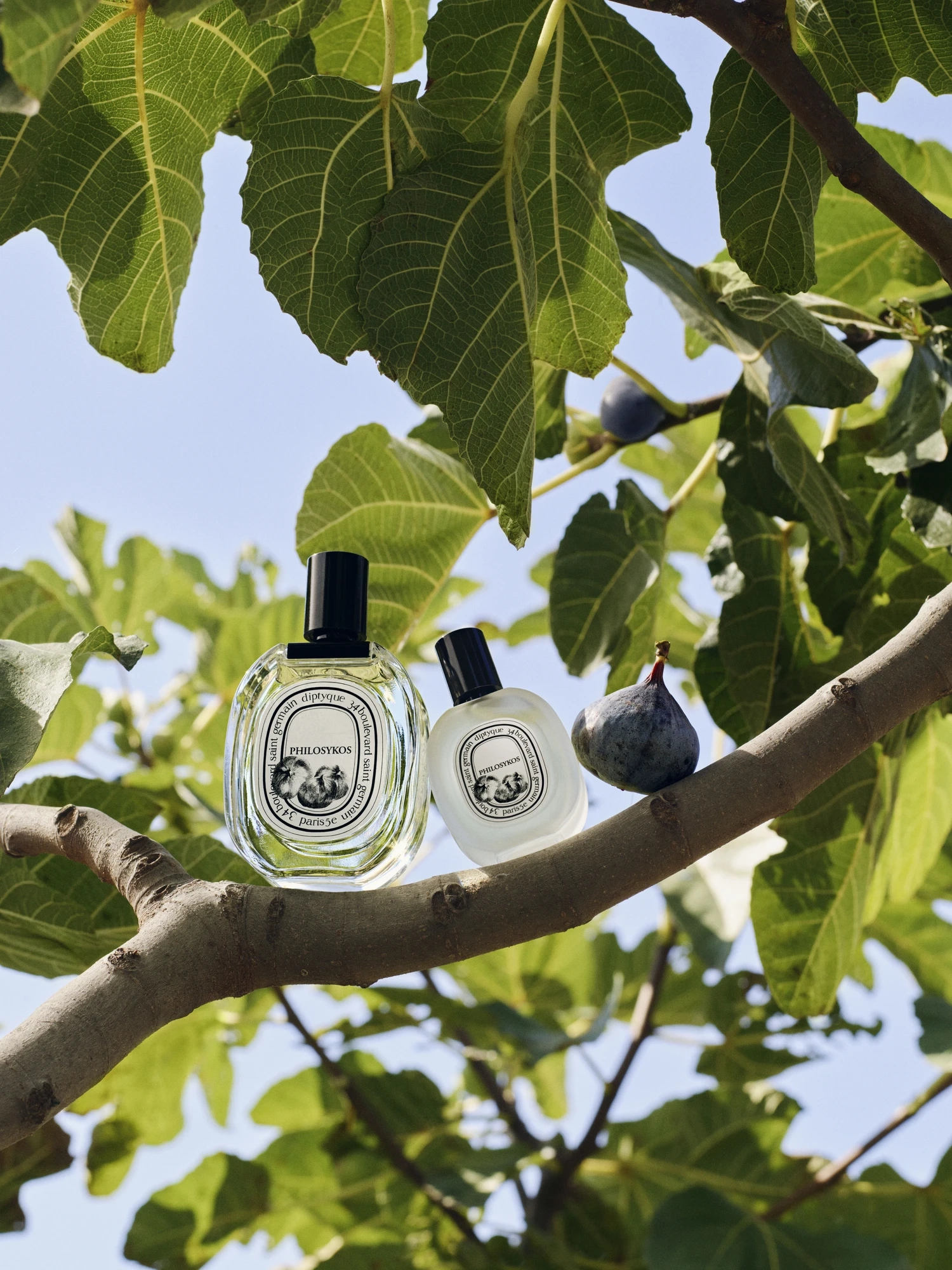 Alternative Image Diptyque Philosykos Hair Mist