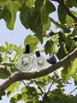 Alternative Image Diptyque Philosykos Hair Mist