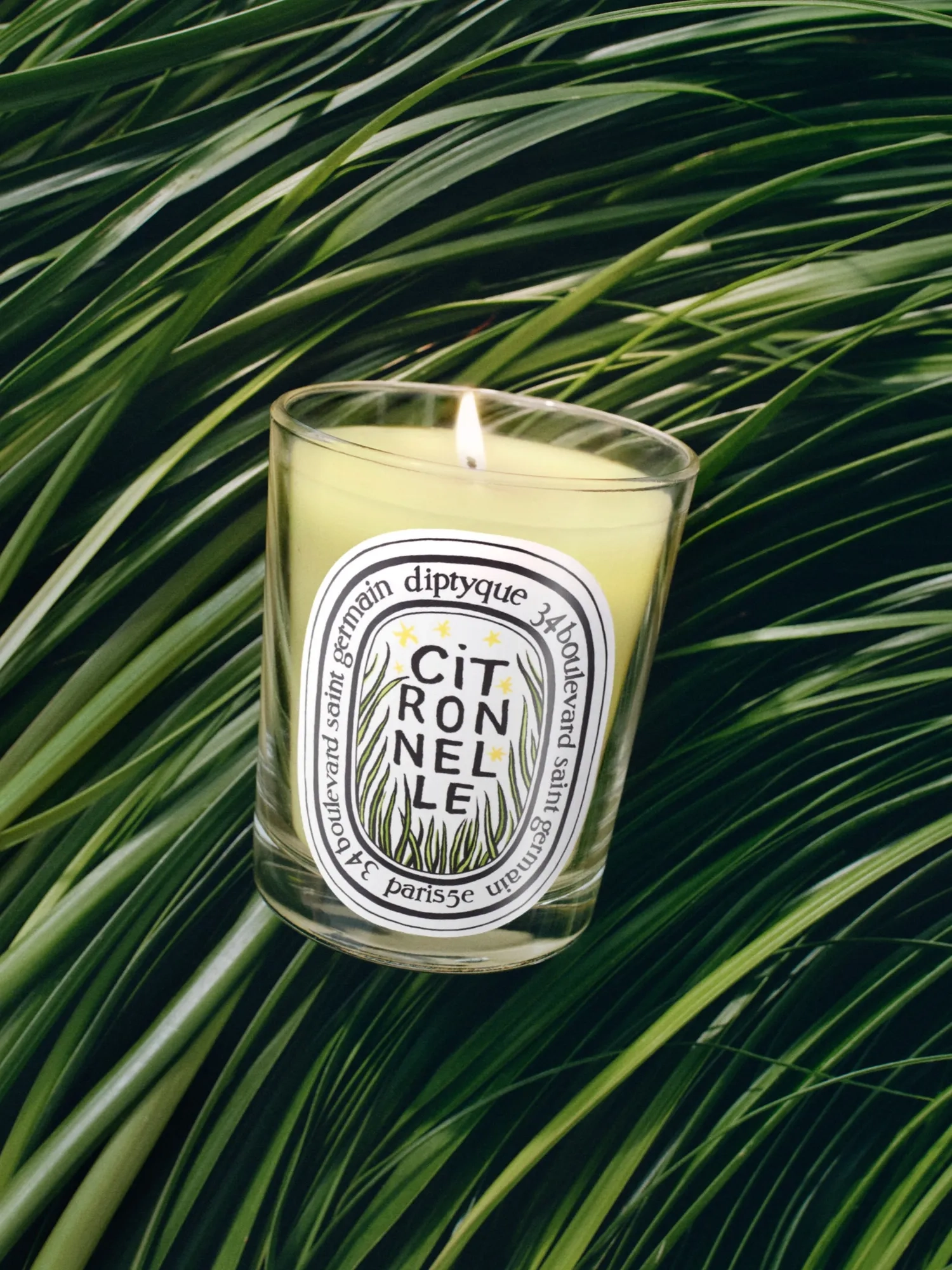 DIPTYQUE Citronnelle Classic Candle | MECCA