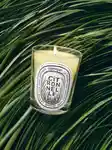Alternative Image Diptyque Citronelle Candle