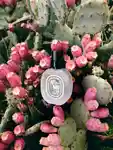 Alternative Image Diptyque Ilio Hair Mist