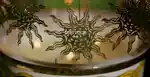 video-fallback-image