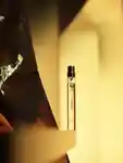 Alternative Image ALTAIA Wooed ED P10ml