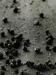 Alternative Image KORRES Black Pepper Showergel