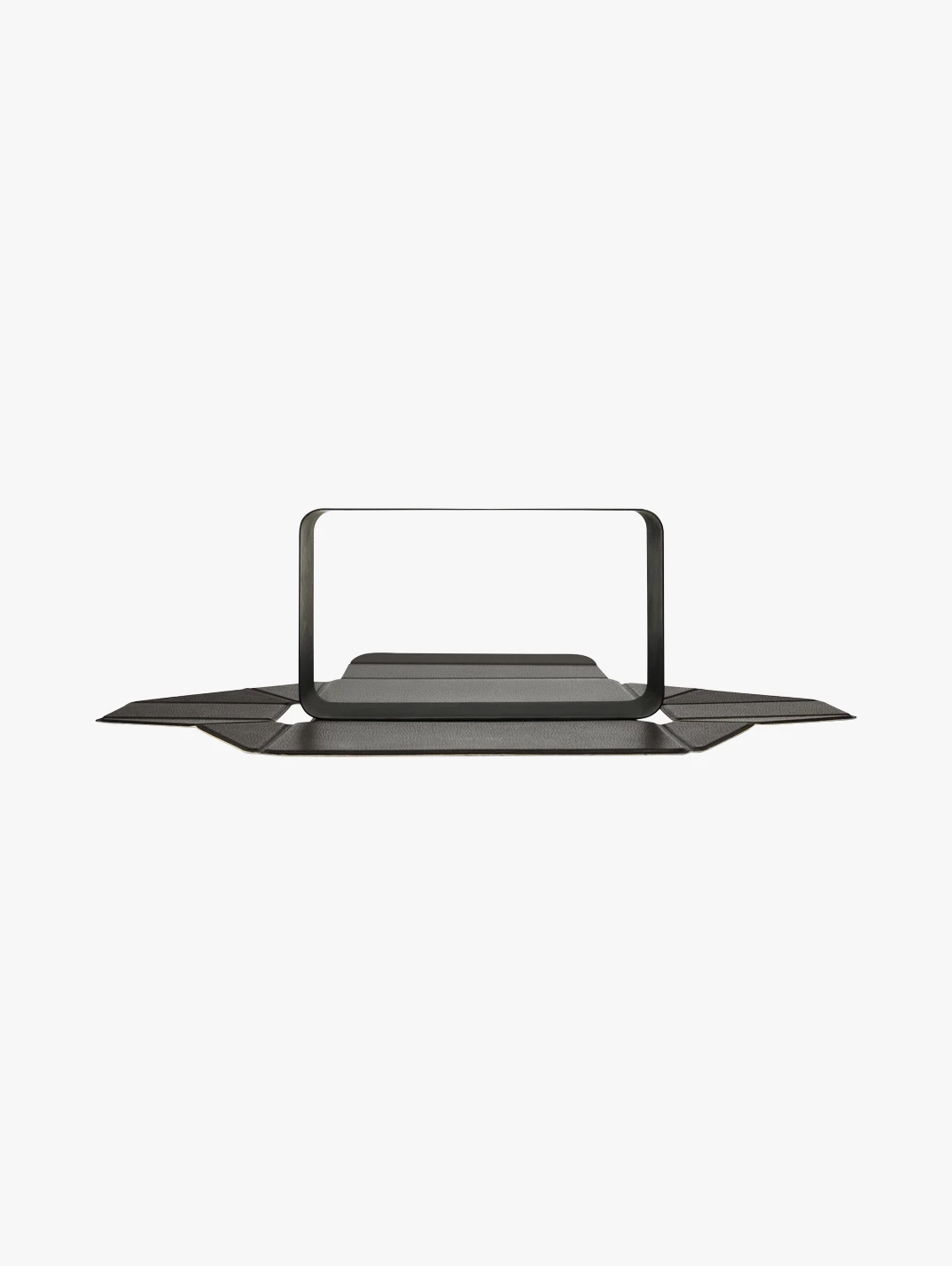 Alternative Image Rae Morris Pro Travel Case Frame