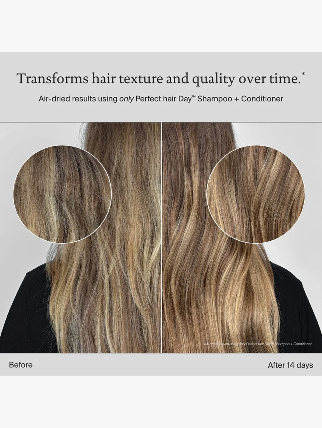 Alternative Image Living Proof Hydrated Hair Essentials