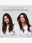 Alternative Image Living Proof Hydrated Hair Essentials