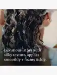 Alternative Image Living Proof Hydrated Hair Essentials