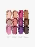 Swatch Morphe Electric Currant Eyeshadow Palette