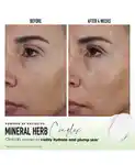 Alternative Image Bare Minerals Skinlongevity Butter Drench Cream Mineral Herb Complex