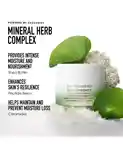 Alternative Image Bare Minerals Skinlongevity Butter Drench Cream Mineral Herb Complex