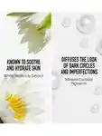 Alternative Image Bare Minerals Original Liquid Mineral Concealer