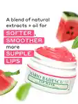 Alternative Image MARIOBADESCU Lip Maskwith Watermelonand Basil