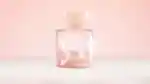 video-fallback-image