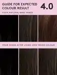 Alternative Image Josh Wood Colour Permanent Colour Kit4.0