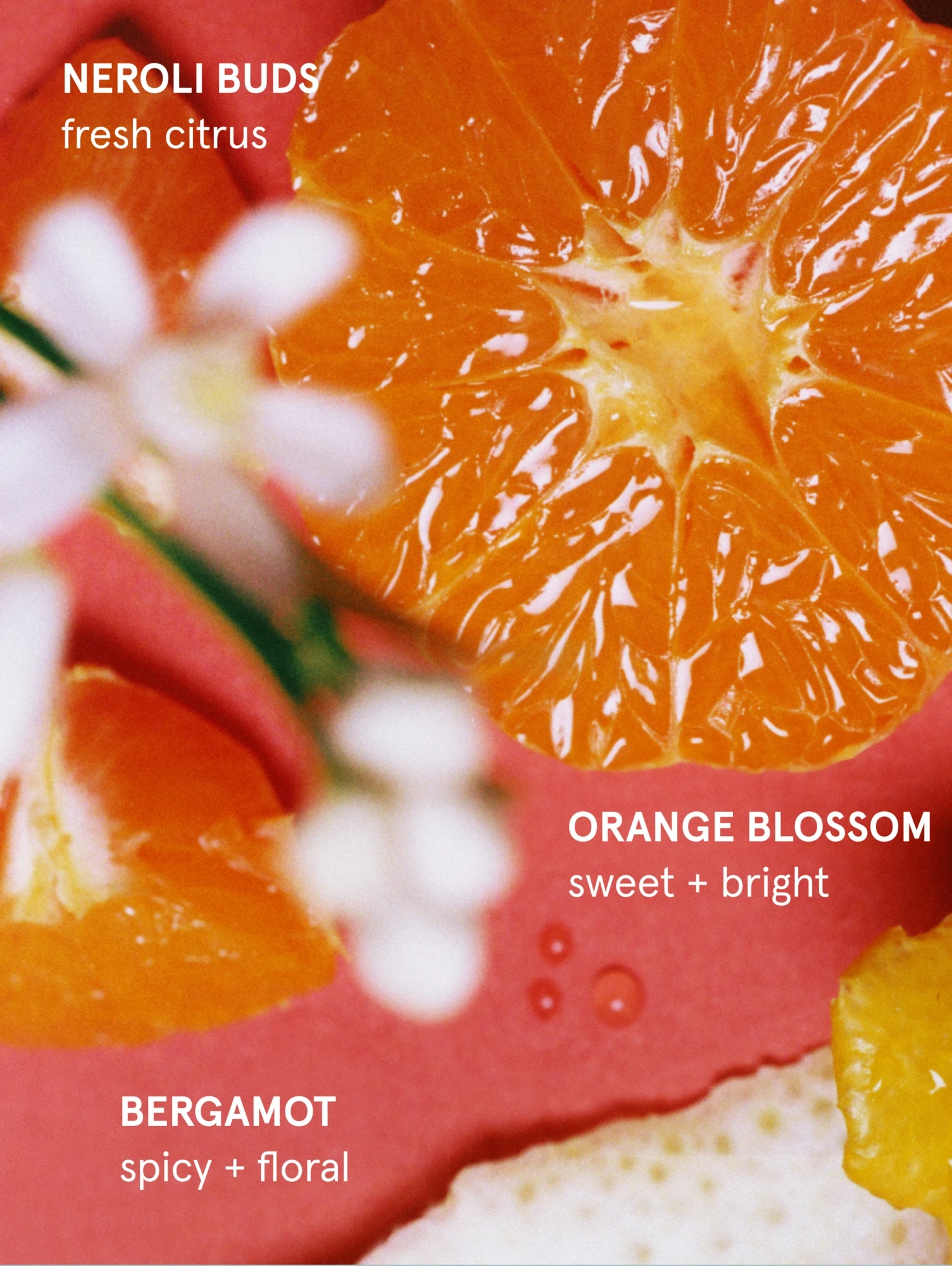 Alternative Image Glossier Daily Perfecting Lotion