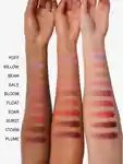 Alternative Image Glossier Cloud Paint Plush Blush