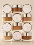 Alternative Image Chantecaille Future Skin Gel Foundation