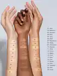 Alternative Image Chantecaille Future Skin Gel Foundation