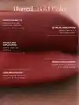 Alternative Image VIOLETT E_ FR Plume Lip