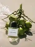 Alternative Image BYREDO Alto Astral ED P50ml