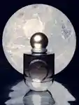 Alternative Image Sage And Salt Moon Ring Extract De Parfum