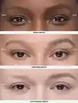 Alternative Image Anastasia Beverly Hills Microstroke Brow Pen