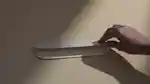 video-fallback-image