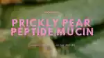 video-fallback-image