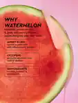Alternative Image GLOWRECIPE Watermelon Glow Dewy Skin Routine