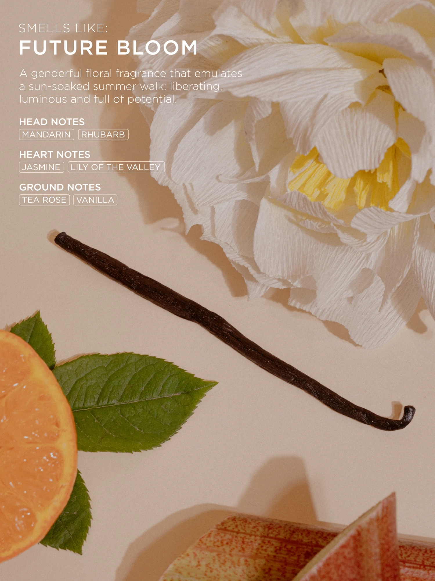 Alternative Image Arkive Future Bloom Reset Dry Shampoo