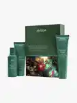 Hero AVEDA Bonds Of Brilliance Strengthening Essentials