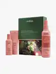 Hero AVEDA Moisture Marvels Hydrating Essentials