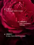 Alternative Image Phlur Rose Whip EDP