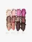 Swatch Morphe Naughty Eyeshadow Palette