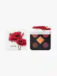 Hero Stila Pocket Play Eye Shadow