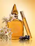 Alternative Image Charlotte Tilbury Star Confidence Perfume Set